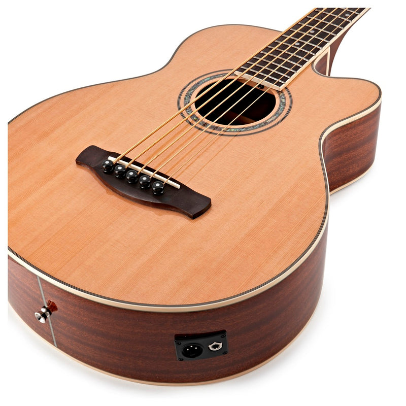 Guitarras EléctroAcústicas