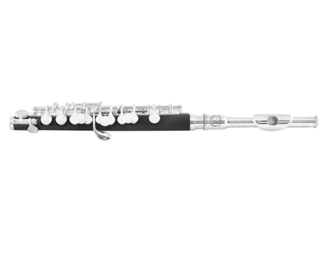 FLAUTA PICCOLO DO BLESSING CON ESTUCHE ABS 6458IS