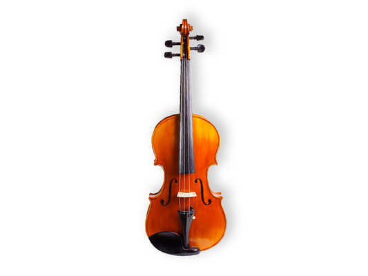 VIOLIN 1/2 SANDNER CON ARCO, BARBADA Y ESTUCHE RV-1-1/2