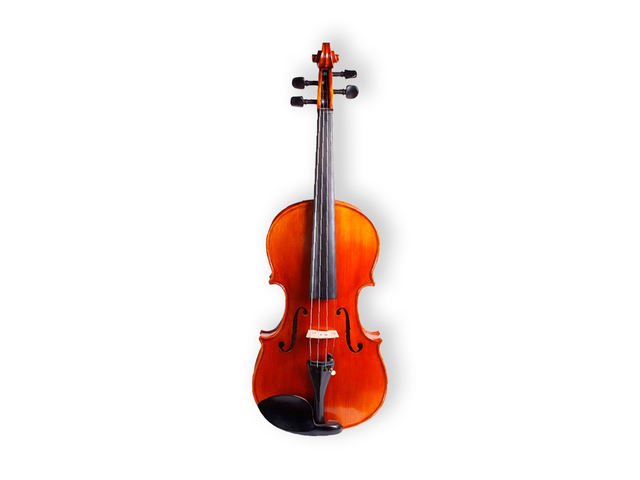 VIOLIN 4/4 SANDNER CON ARCO, BARBADA Y ESTUCHE CV-2 4/4