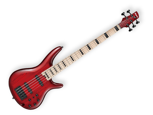 BAJO ELECTRICO IBANEZ ''ADAM NITTI'' DE 5 CUERDAS VINO TRASNPARENTE/SOMBREADO ROJO CON FUNDA ANB205-TWB