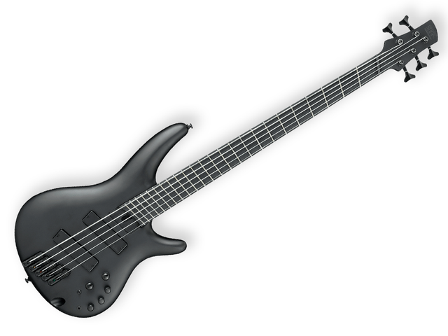 BAJO ELECTRICO IBANEZ ''SR - IRON LABEL'' DE 5 CUERDAS NEGRO MATE SRMS625EX-BKF