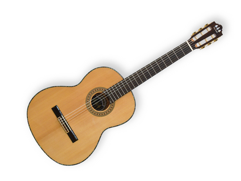 GUITARRA CLASICA TRES PINOS NATURAL TPCG-1000 NT