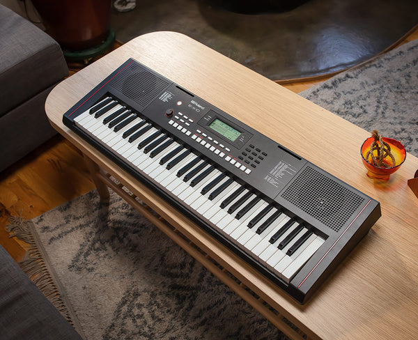 Teclado Arranger 61 teclas con sensibilidad de tecla E-X10