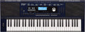 Teclado Arranger 61 teclas c/bocinas 2x4" y 2x1'', 20w E-X30
