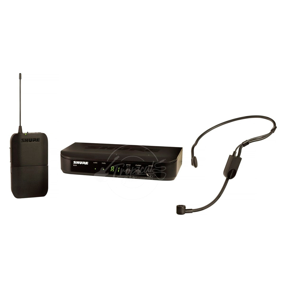 Sistema Shure BLX14/P31 Inalámbrico Auricular con Micrófono Condensador