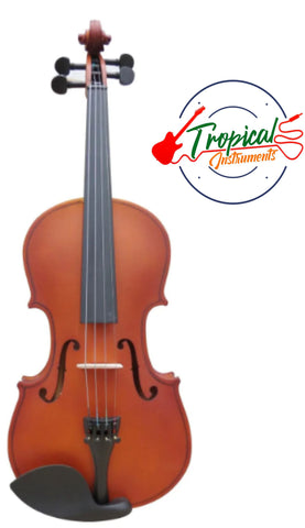 VIOLIN LAMINADO ESTUDIANTE 4/4 MATE AMADEUS CELLIMI AMVL002